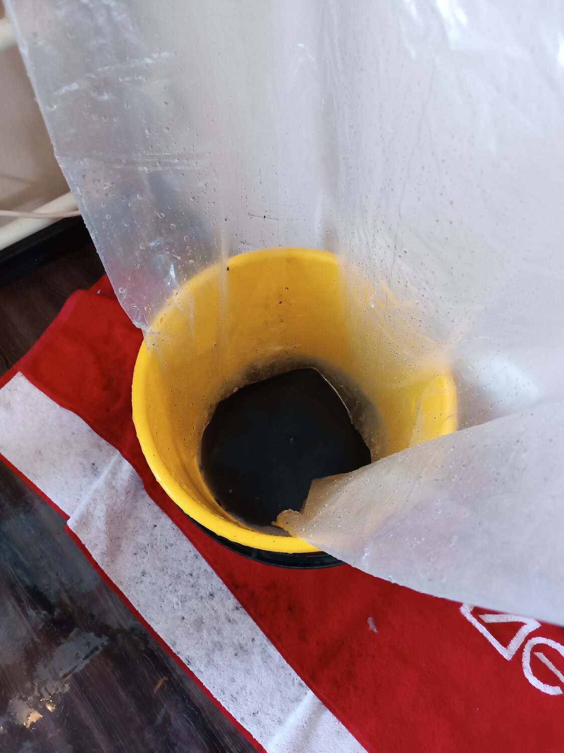 масло в двигателе, масло в акпп, замена моторного масла, ведро строительное 12л 44545, отработанное масло