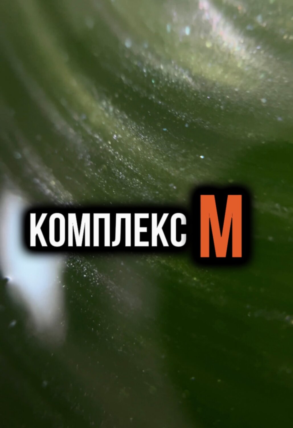 зеленое растение, цвета зеленого, эухарис, эухарис цветок трипсы, растение