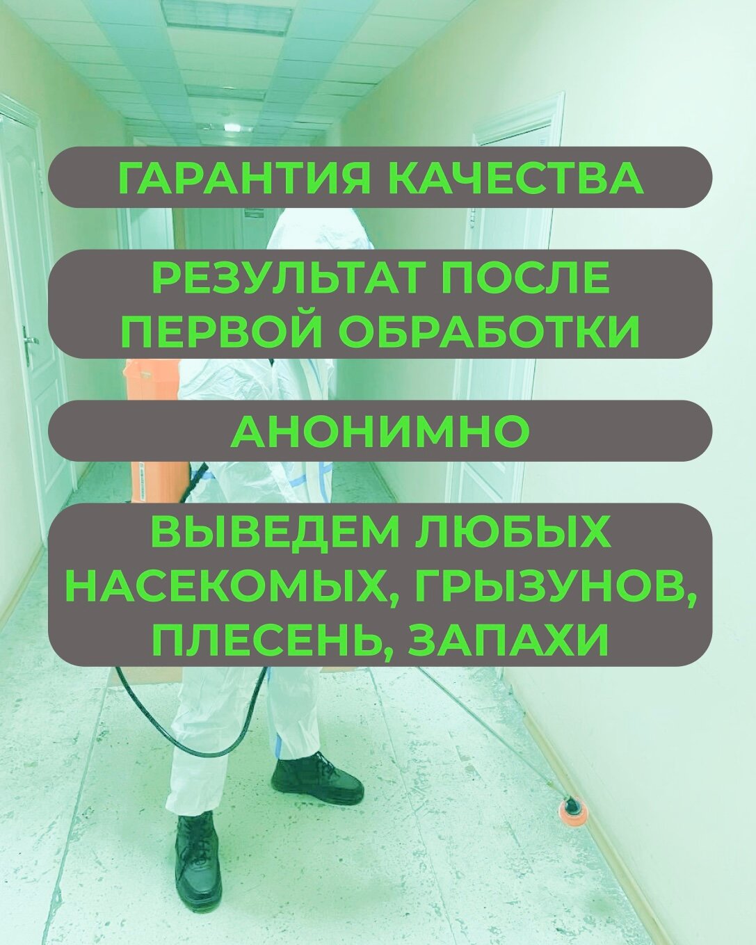 дезинфекция дезинсекция дератизация, обработка от клопов, обработка от тараканов, дезинфекция и дезинсекция, уничтожение клопов