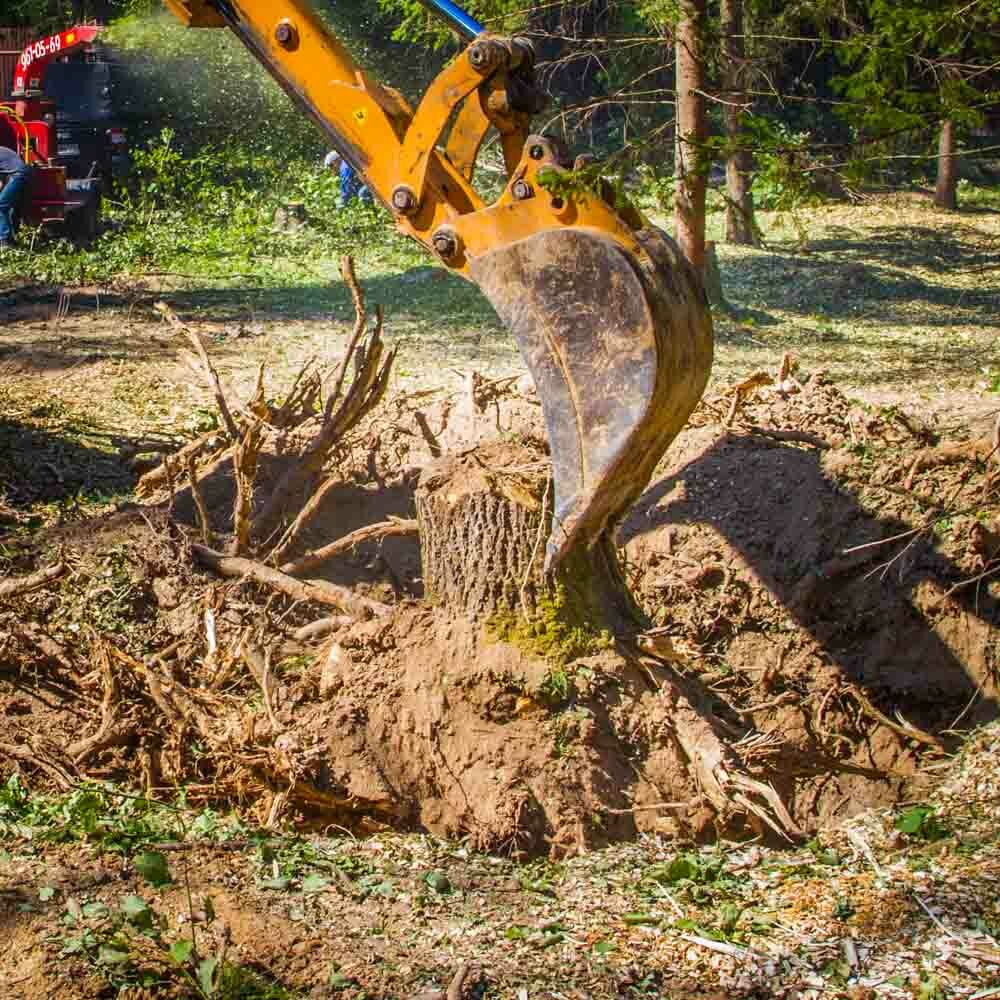 корчевание пней экскаватором, корчевание пней, выкорчевывание пней, корчевка пней, выкорчёвывание пней трактором
