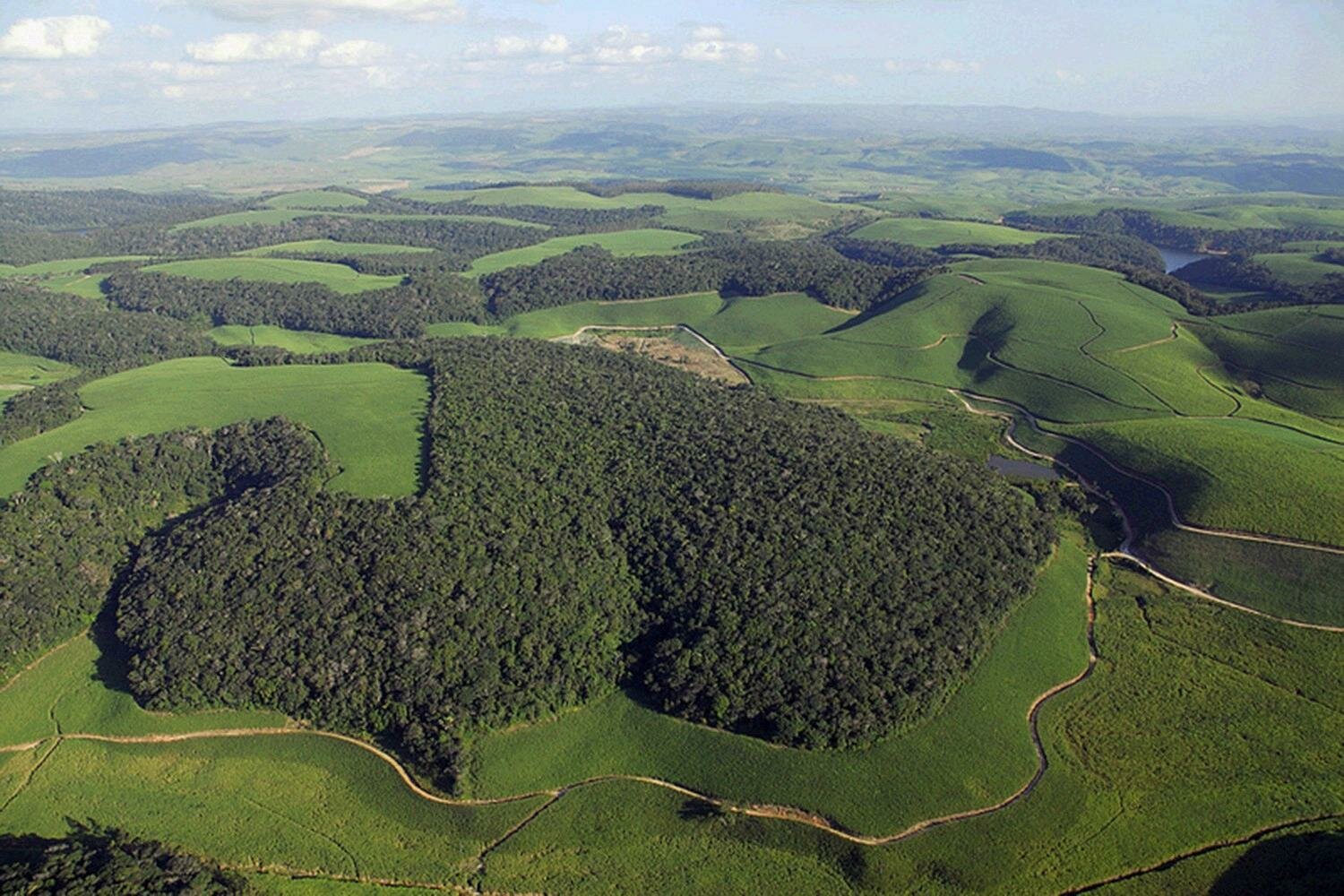 экстразональные ландшафты, zona volcànica de la garrotxa natural park, ландшафт земли, антропогенный рельеф, поверхность земли