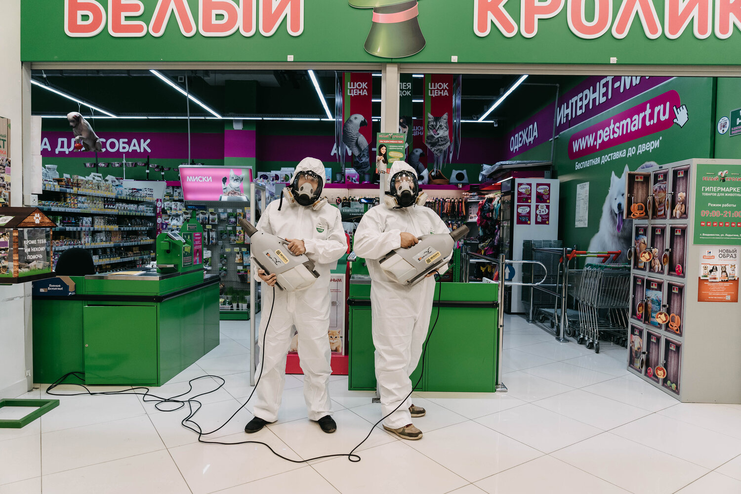 дезинфекция дезинсекция дератизация, дезинсекция, дезинфекция тараканов, обработка от клопов, уничтожение насекомых