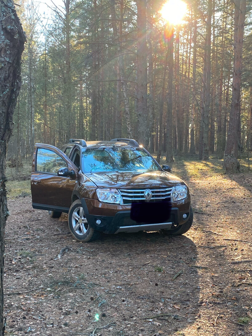renault duster 2014, renault duster 2013 коричневый, renault duster 2013, renault duster 2012, renault duster 2009
