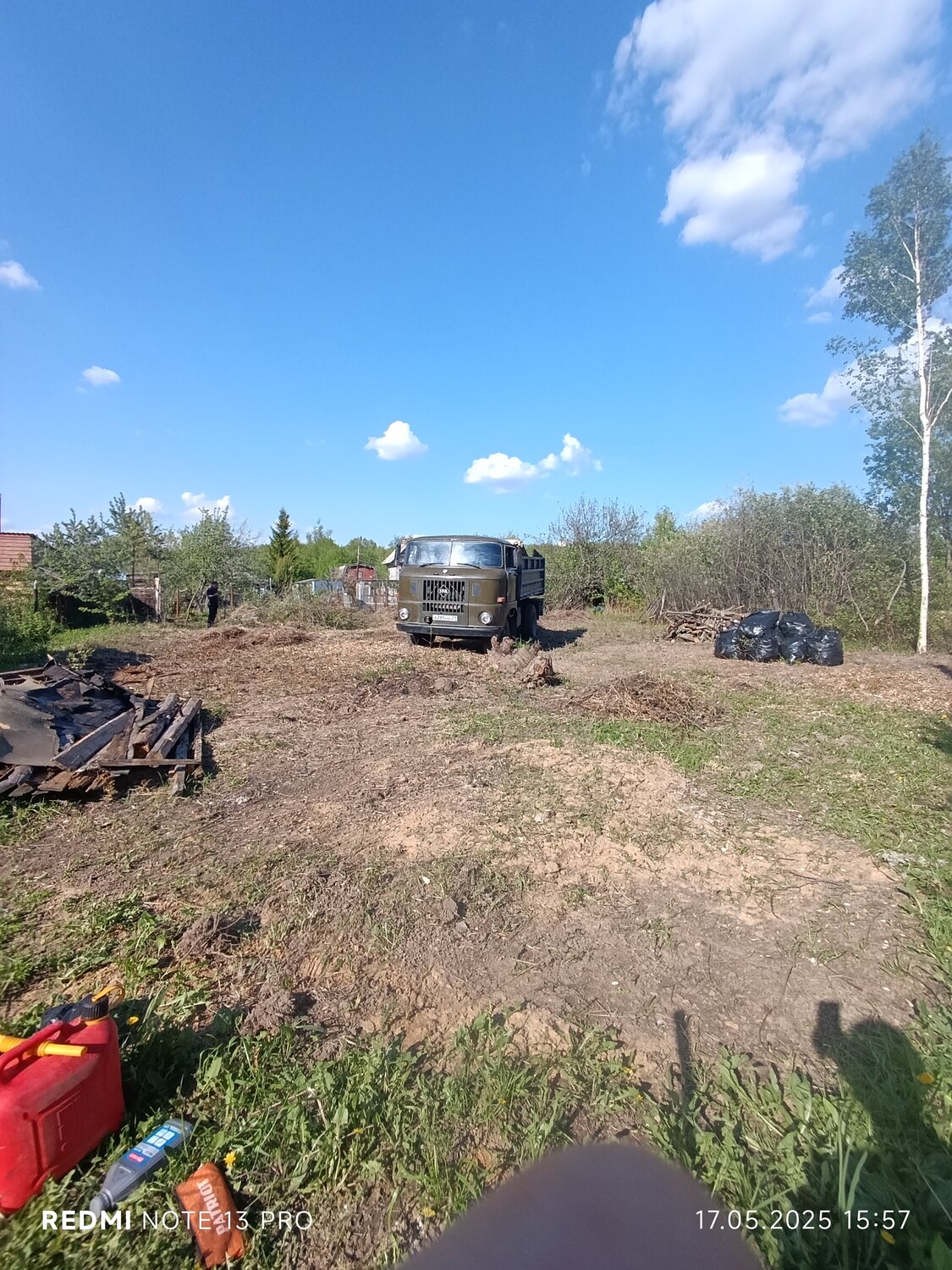 земельного участка, участок в деревне, участка, дачный поселок, береза обыкновенная