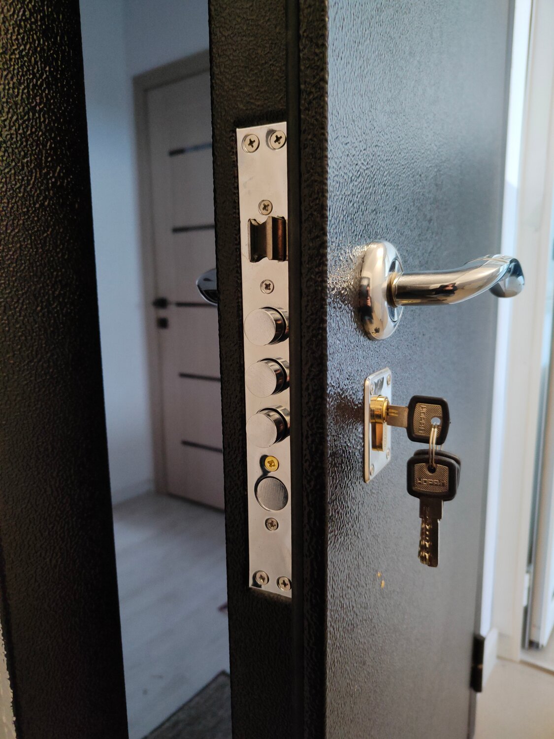 дверей, дверь, дверь стальная, металлическая дверь, металлическая входная дверь