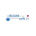 Студия программирования Bleaksoft