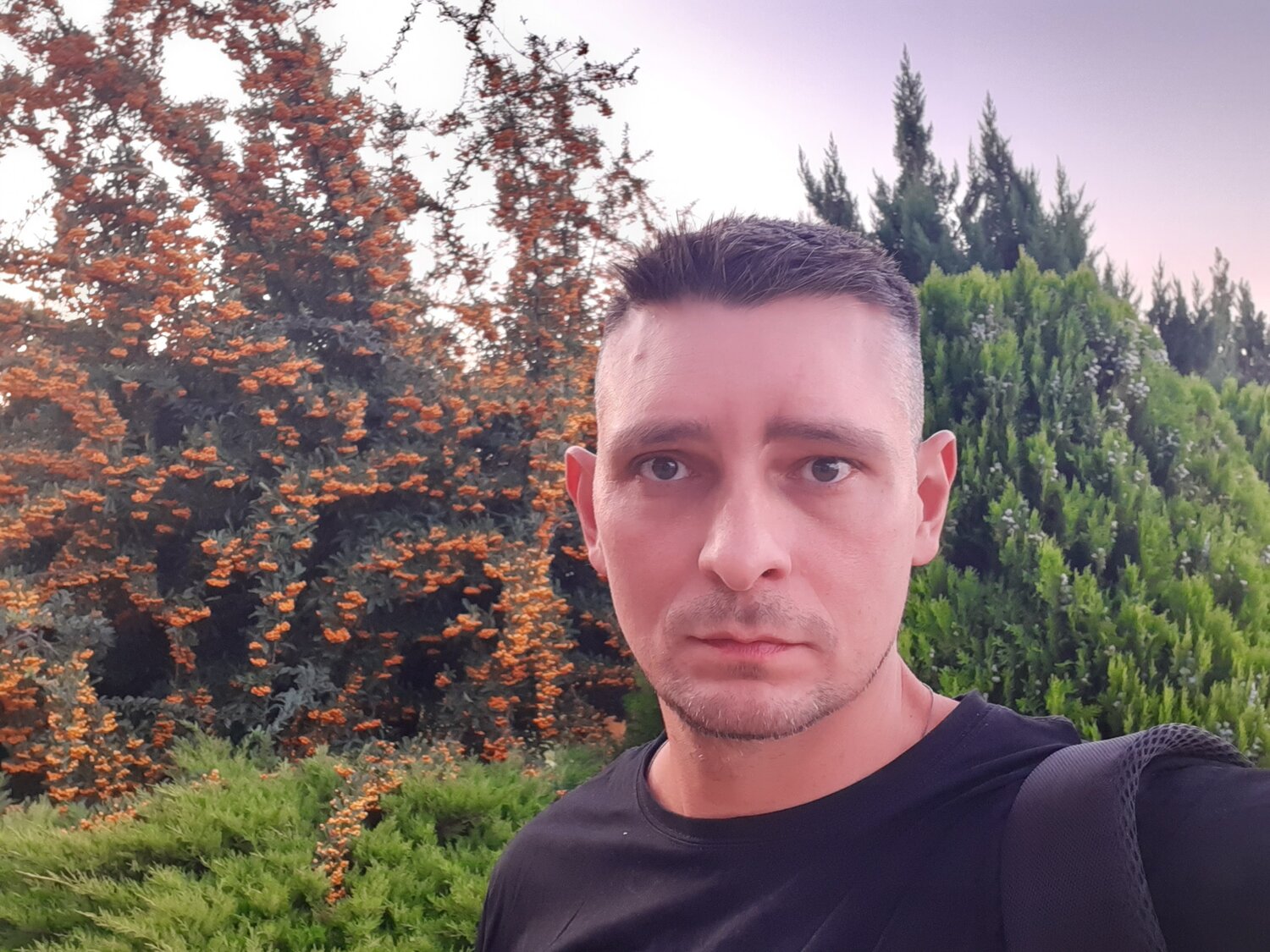 Алексей Тихомиров