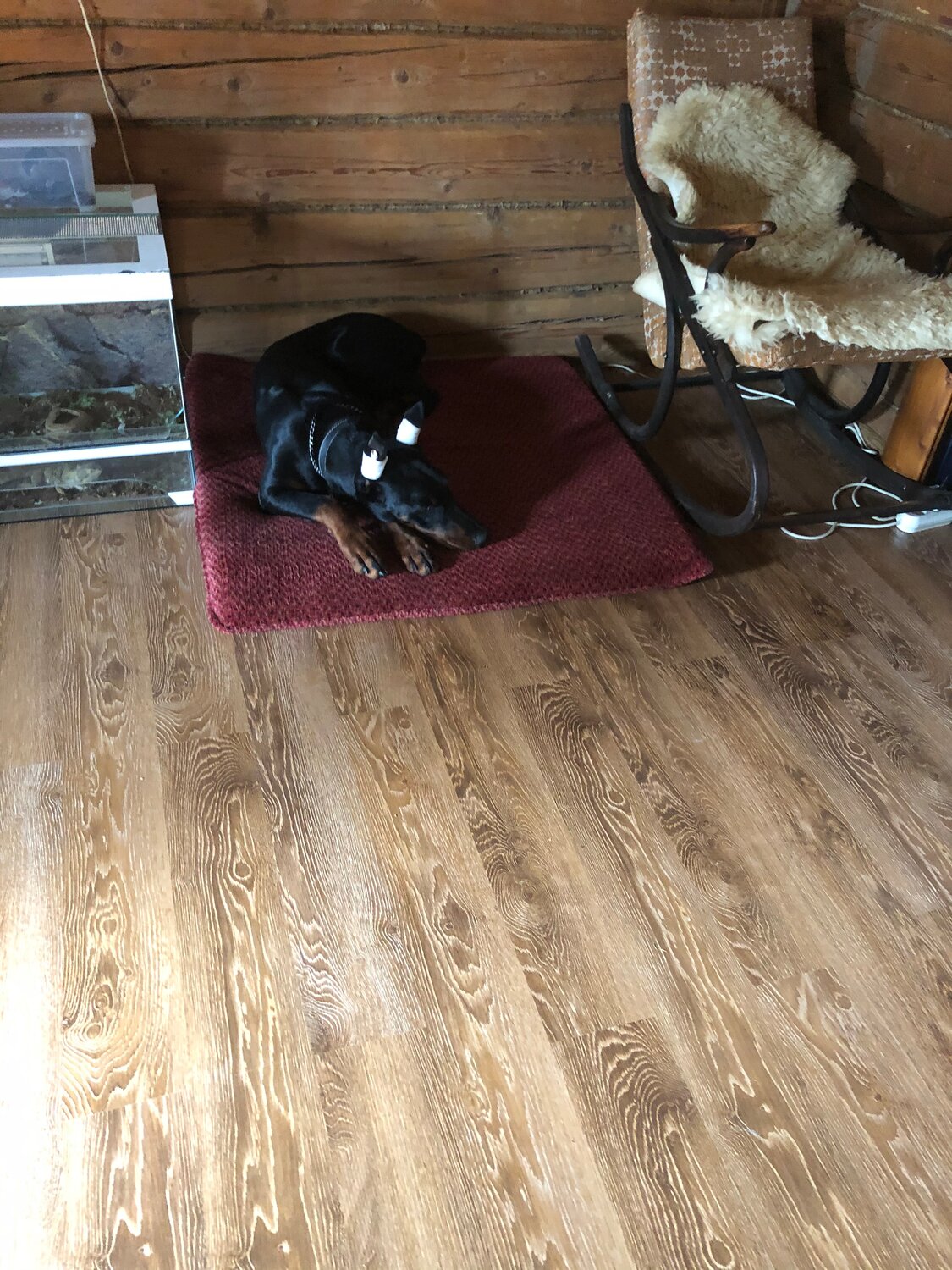 паркет, напольное покрытие, паркетная доска, кварц виниловый ламинат декория и, линолеум