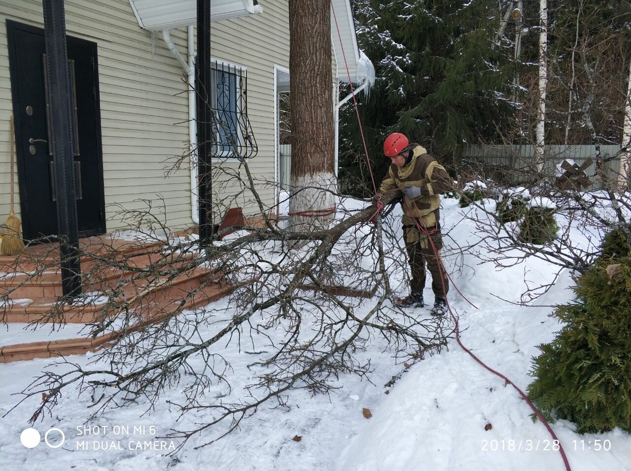 валка деревьев зимой, зимний лес, лесное хозяйство, противопожарный водоем зимой, валка бензопилой урал