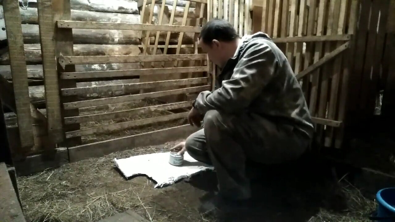 козлятник ферма, сарай для коз, сарай для бычков, хлев для коз, кормушка для коз