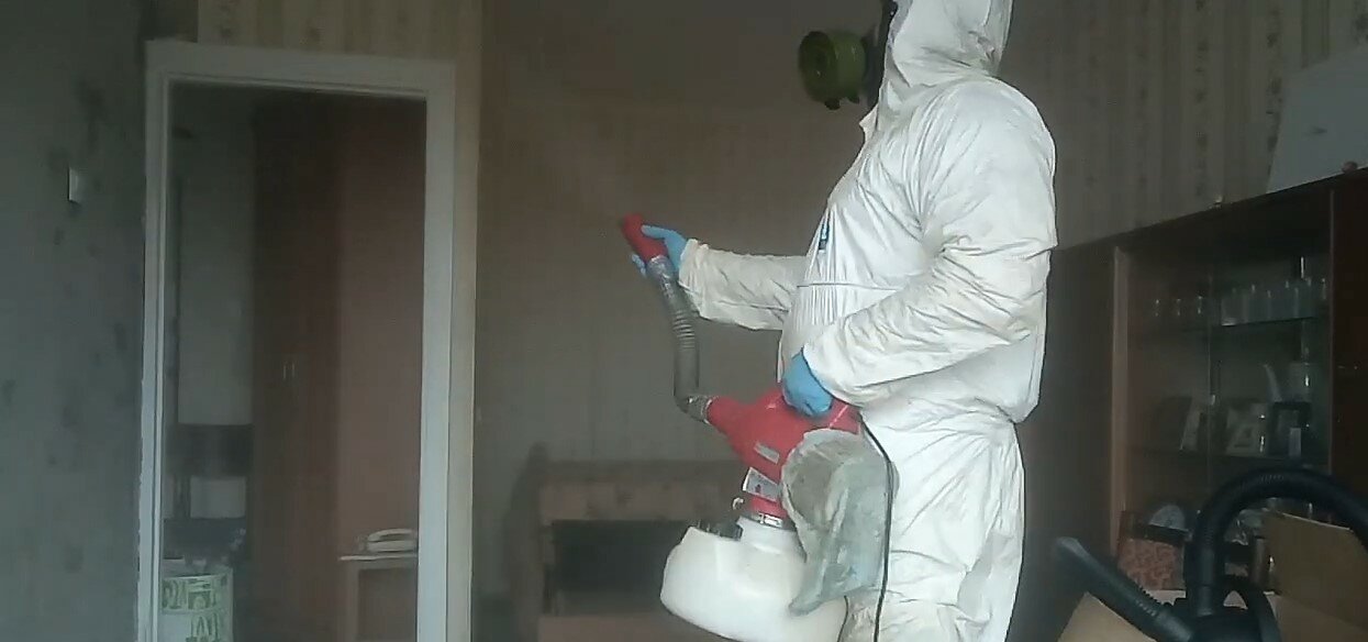 дезинсекция, дезинфекция, дезинсекция клопов туманом, дезинсекция от клопов в квартире, уничтожение тараканов