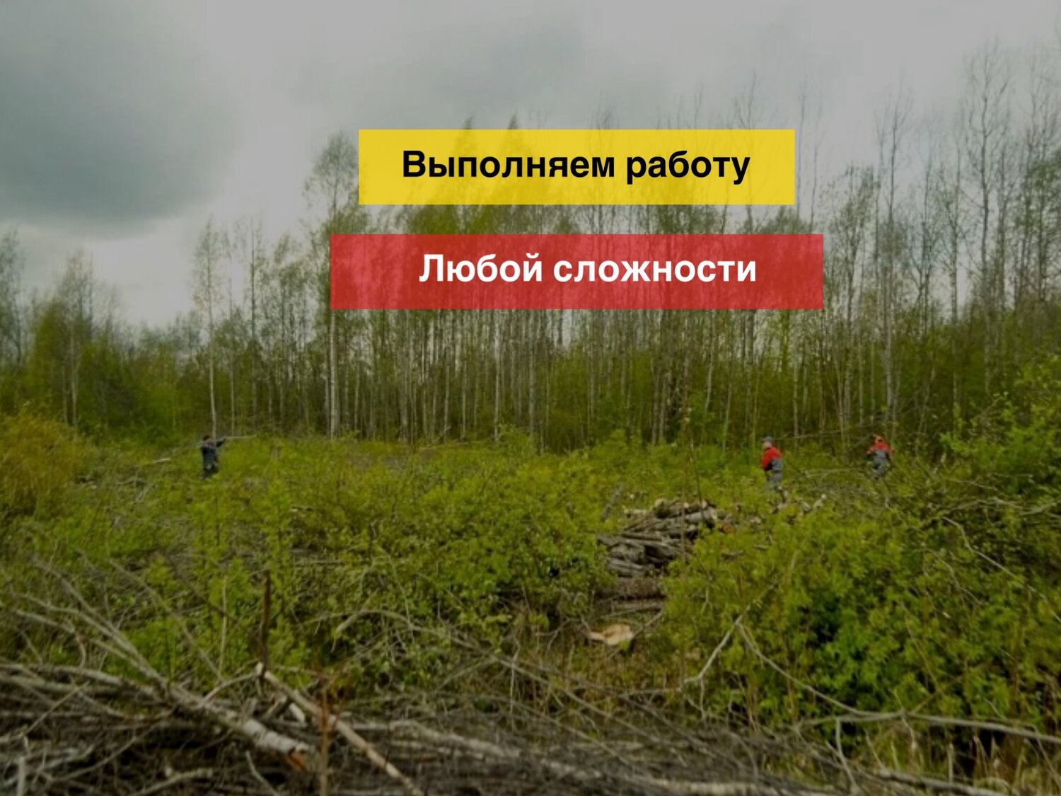 расчистка участка, работа в лесу, земельного участка, вырубка кустарника и мелколесья, участок в лесу