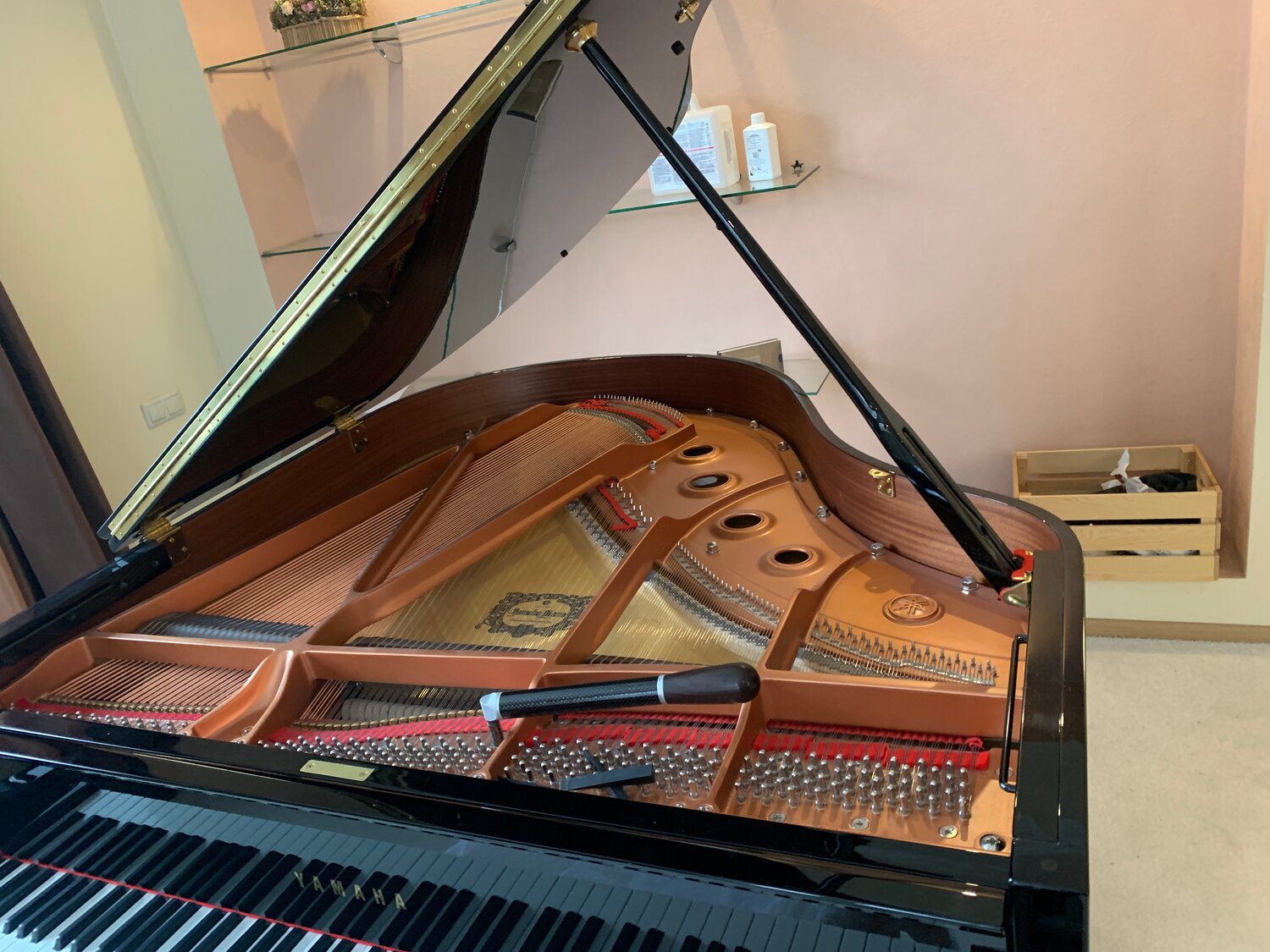 piano, рояль, рояль yamaha cfx, рояль штейнберг, рояль бёзендорфер