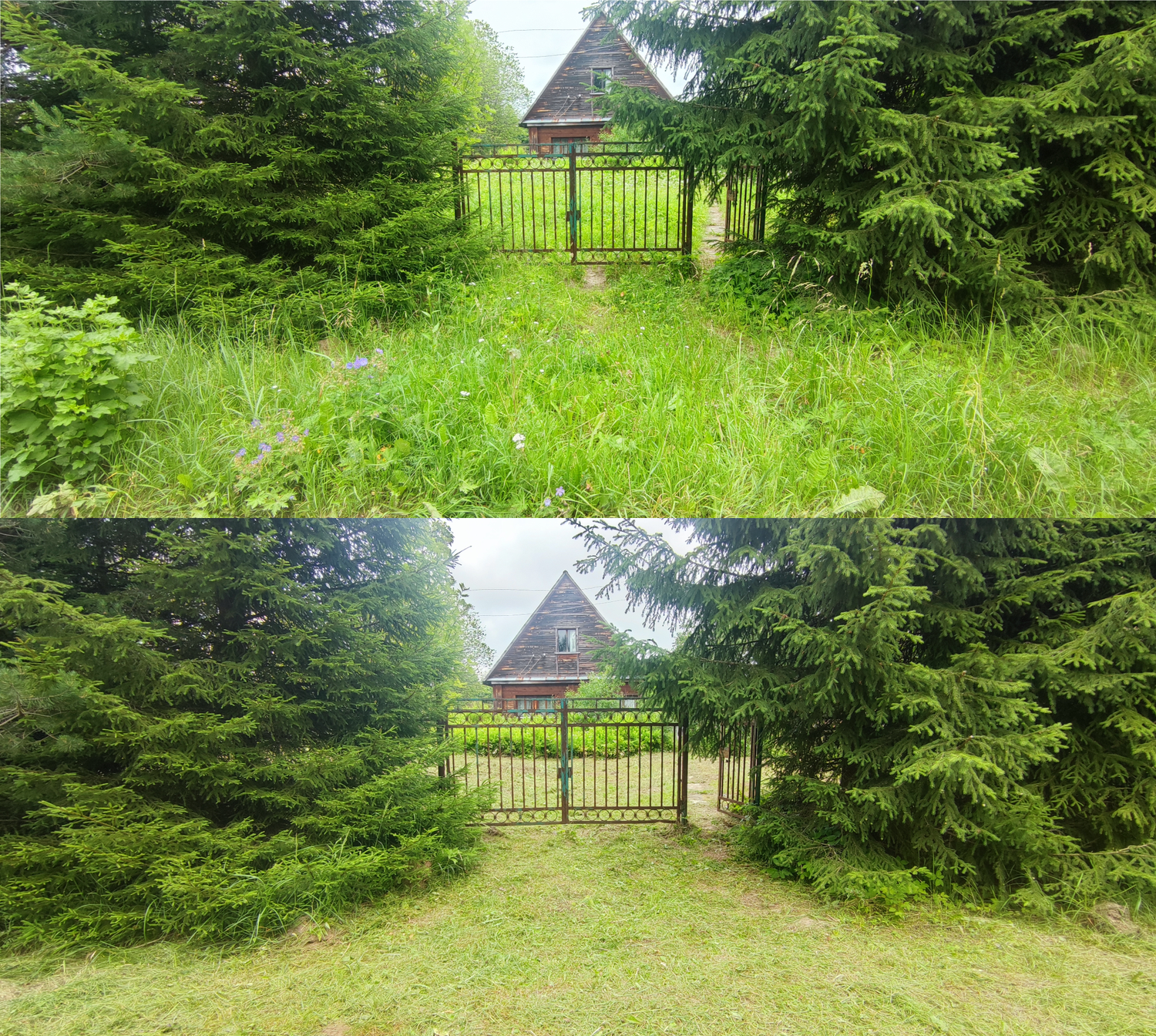 участок, мебель, дача, дачный участок, лес в петрово дальнем