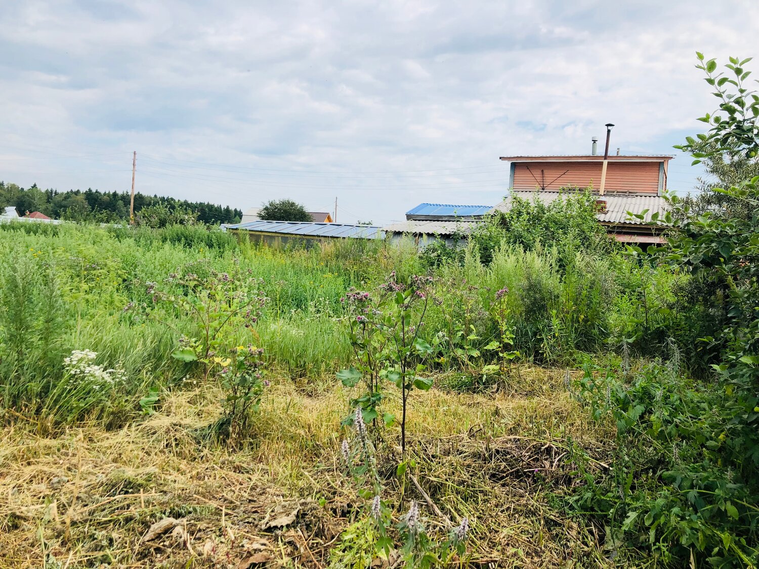 участок, участок в деревне, участок ижс, участки в подмосковье, земельный участок
