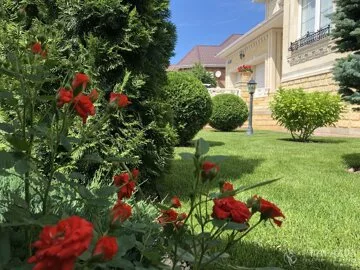 интерьер, ландшафтный дизайн, дом дача, отель, растения садовые