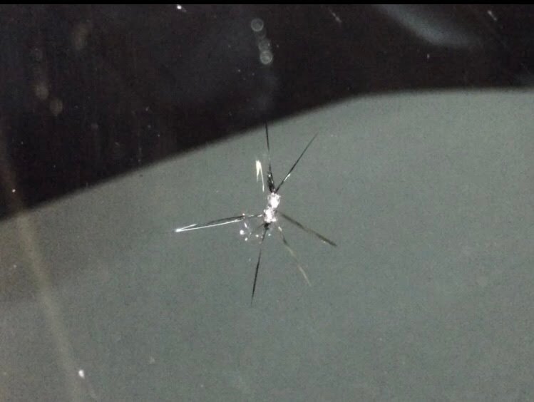 сколы на лобовом стекле, насекомое, трещина на лобовом стекле, скол на стекле, клоп водомерка