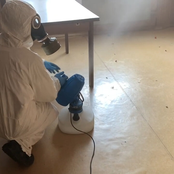 дезинсекция, дезинфекция, дезинфекция от клопов, дезинфекция дезинсекция дератизация, дезинсекция и дератизация