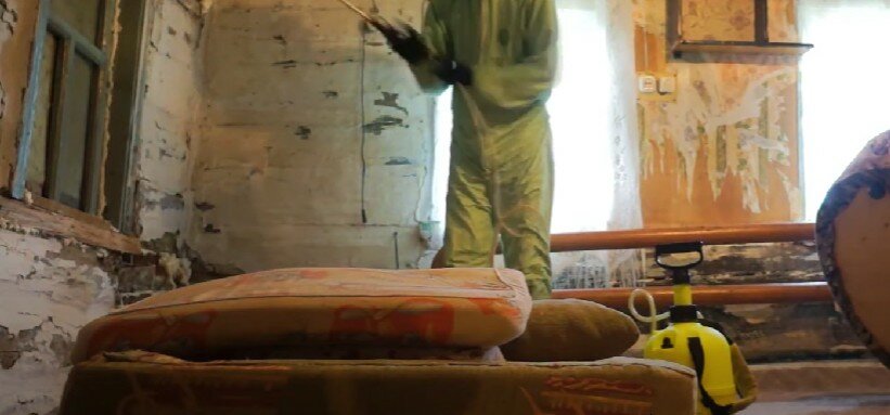 уничтожение клопов, дезинсекция, ппу утепление, утепление стен, дезинфекция