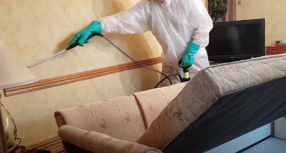 уничтожение клопов, дезинфекция от клопов, дезинсекция, дезинфекция от клопов в квартире, дезинсекция от клопов