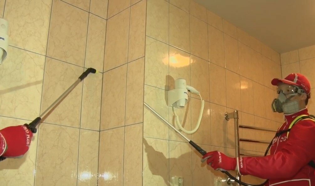 дезинфекция, дезинфекция помещений, дезинсекция, дезинфекция горячим туманом, дезинфекция и дезинсекция