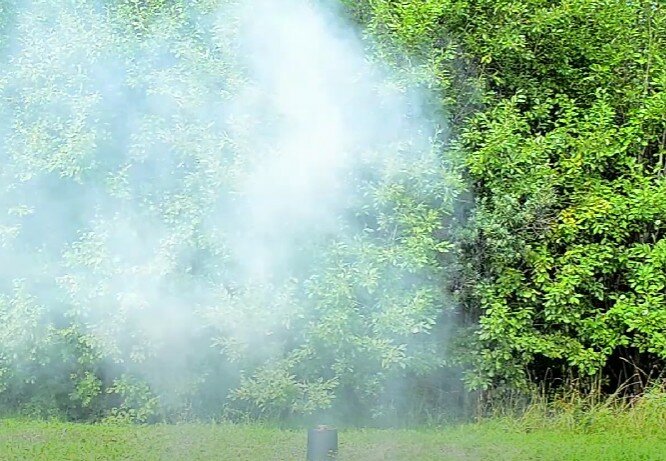 лес в дыму, природа туман, размытое изображение, дым, природа