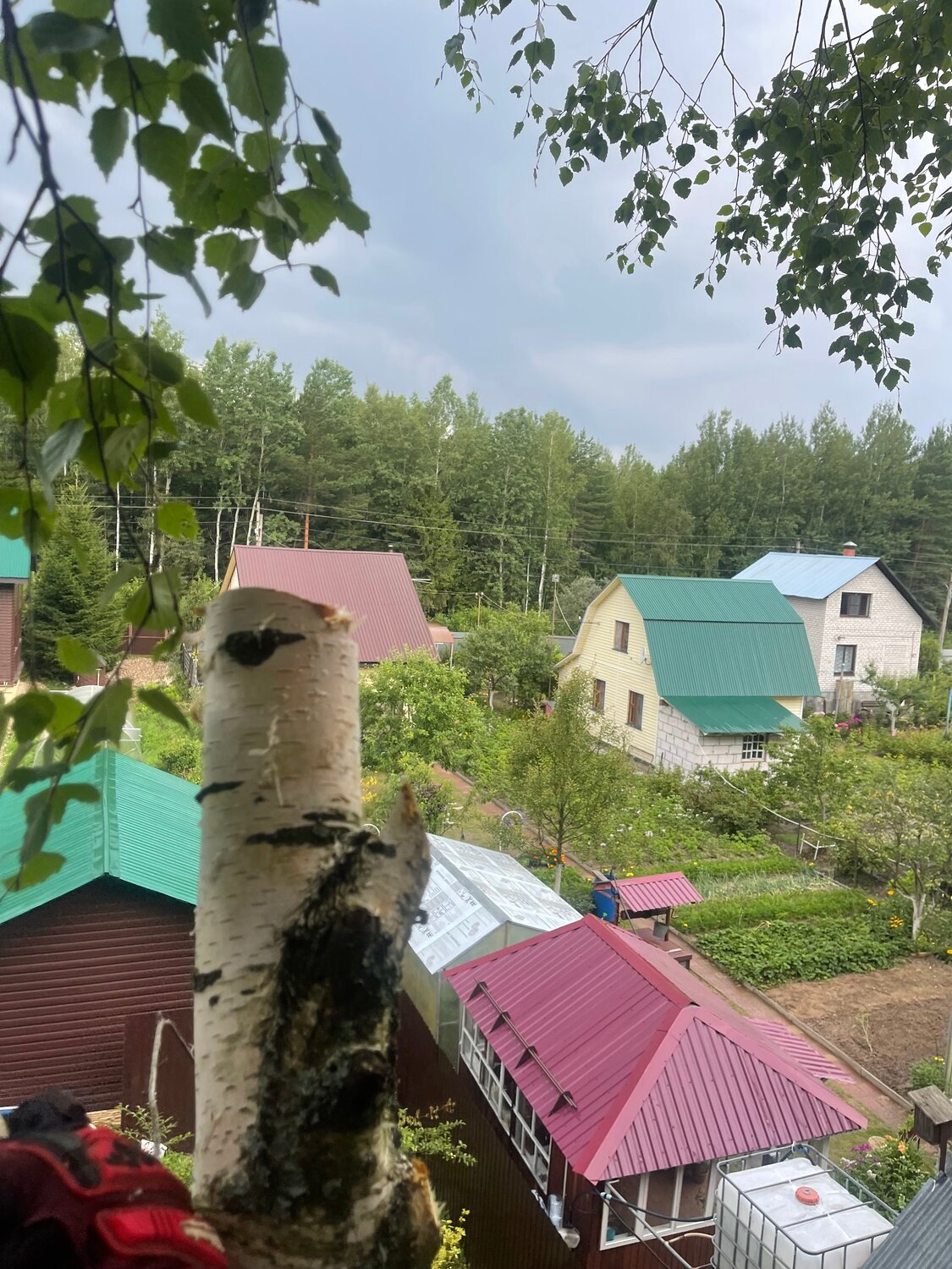 дачные поселки, дома дачи, дом с участком, дачные участки, дача в деревне