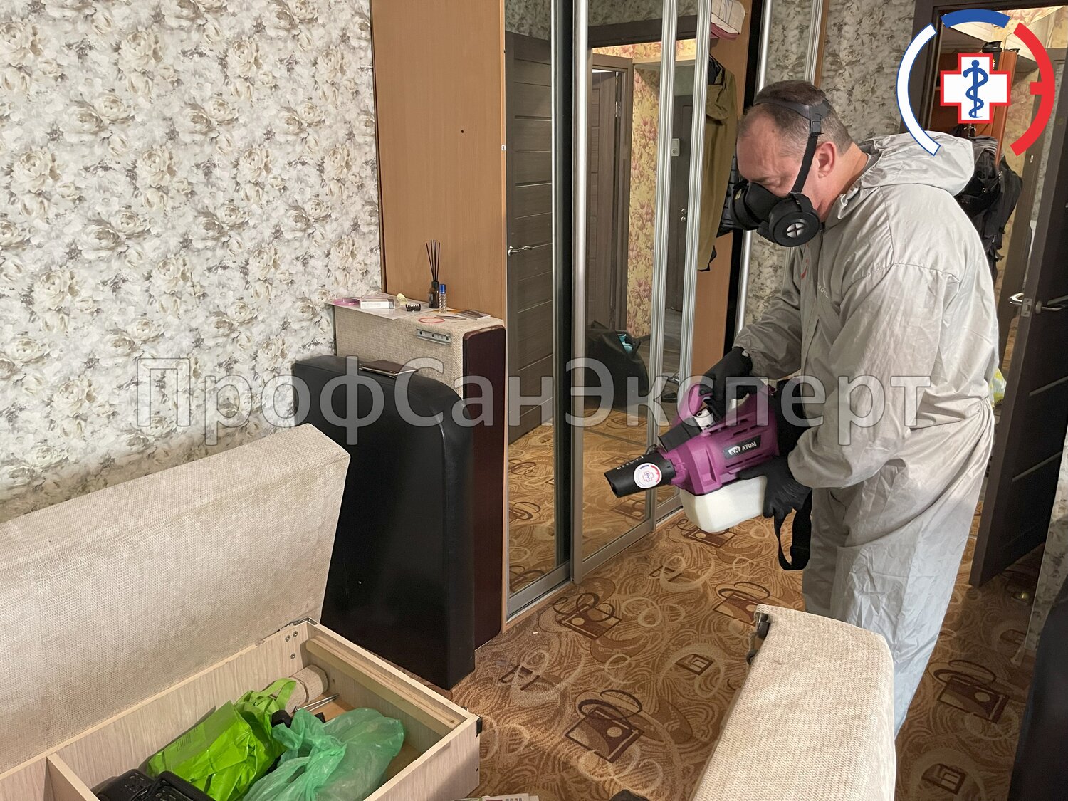 уничтожение клопов, дезинсекция, дезинфекция от клопов в квартире, уничтожение клопов в квартире, дезинфекции