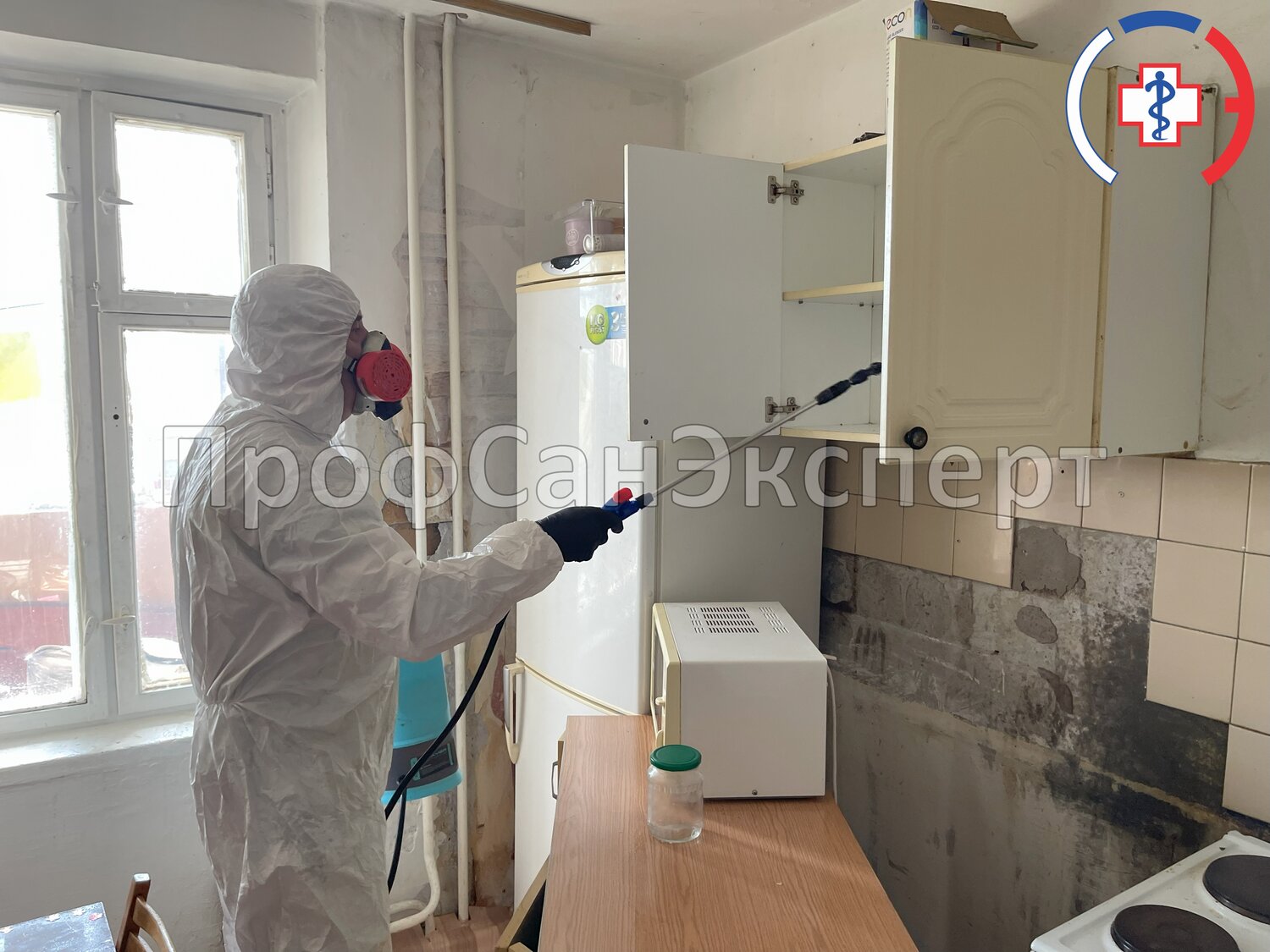 дезинфекции, дезинсекция, дезинфекция помещений, дезинфекция дезинсекция дератизация, дезинфектор