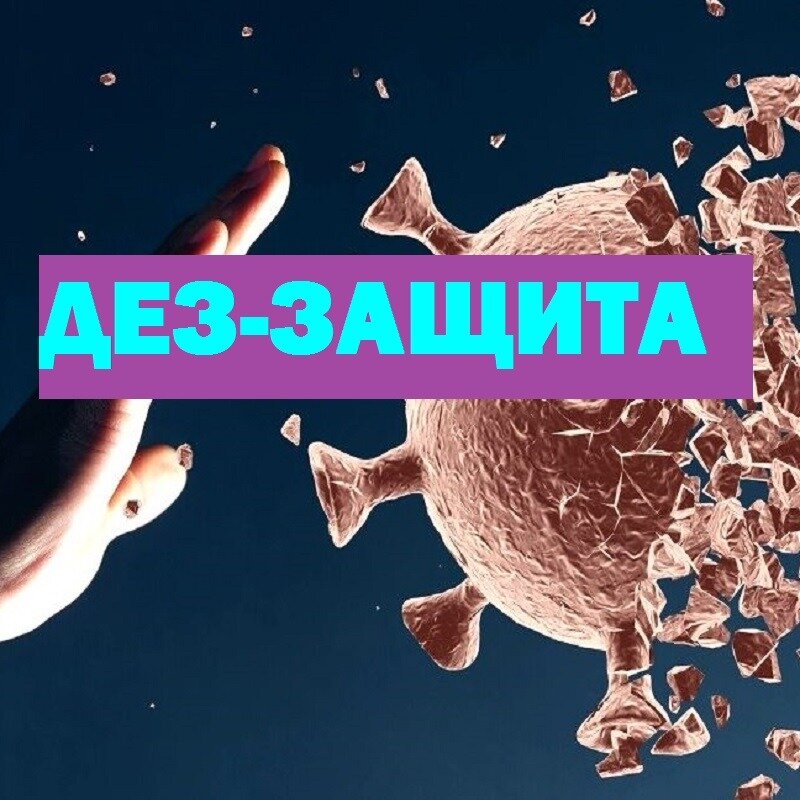 ДЕЗ-ЗАЩИТА