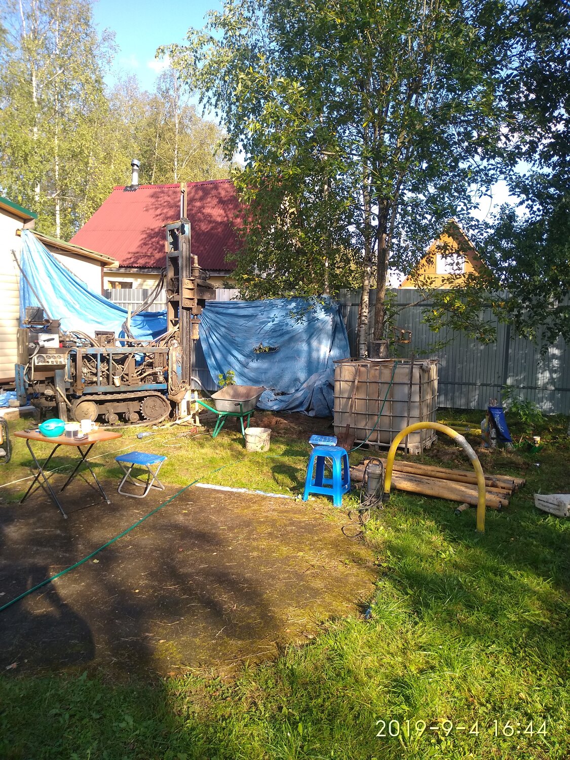 allotment gardening, дома на участке, участка, дача, береза на участке