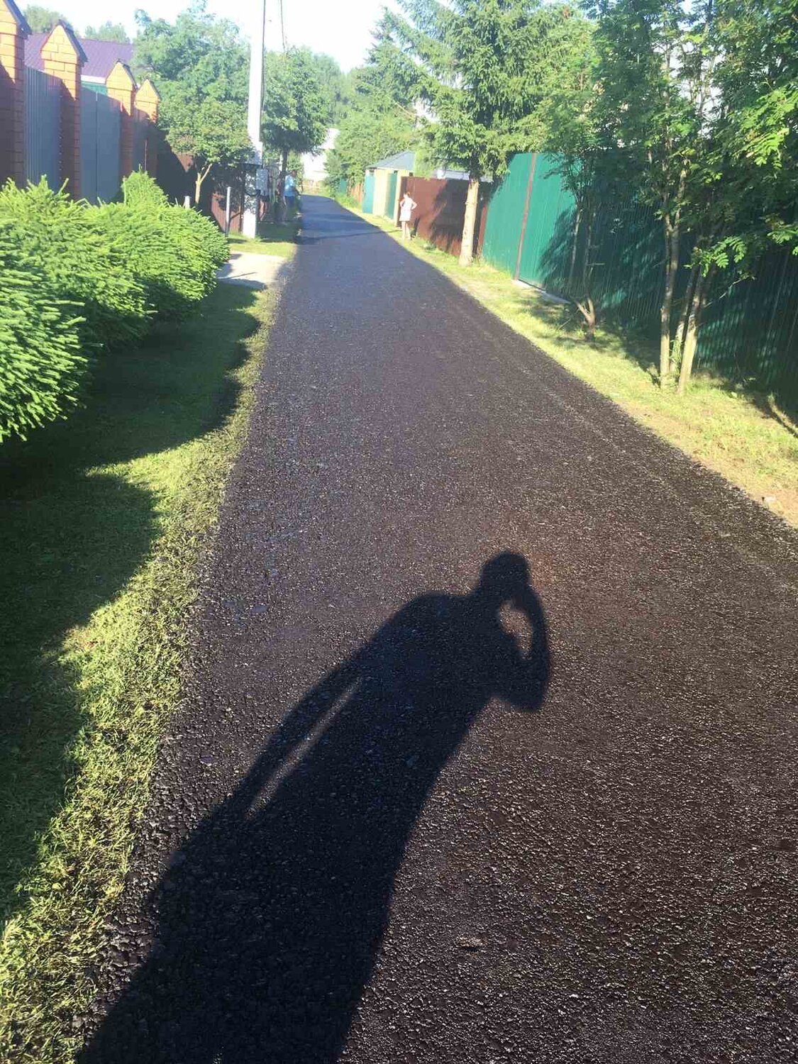 темнота, пол парк, участка, человек, сад