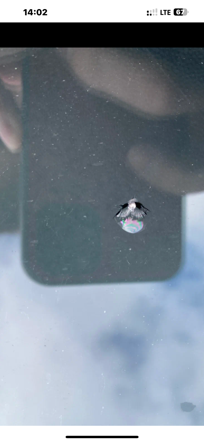 скол на лобовом стекле, скол бычий глаз на лобовом стекле, скол на стекле, скол на лобовом, трещина на лобовом стекле