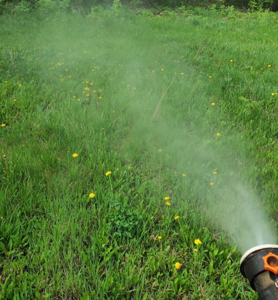 полив газона, поливка газона, полив, автополив газона, трава для газона
