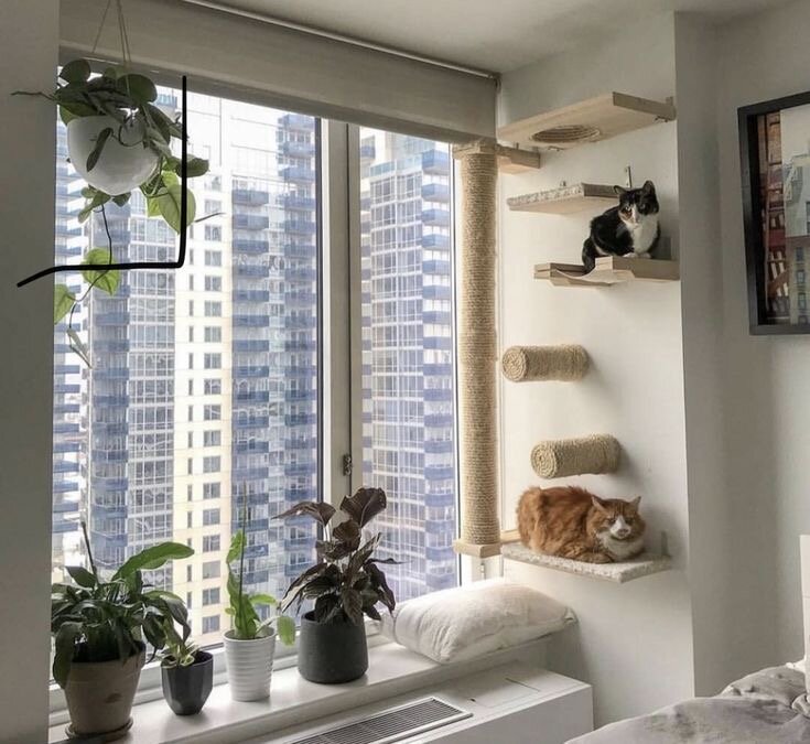 лежак для кота на балконе, кошачий балкон, интерьер, интерьер дизайн, балкон для кошки