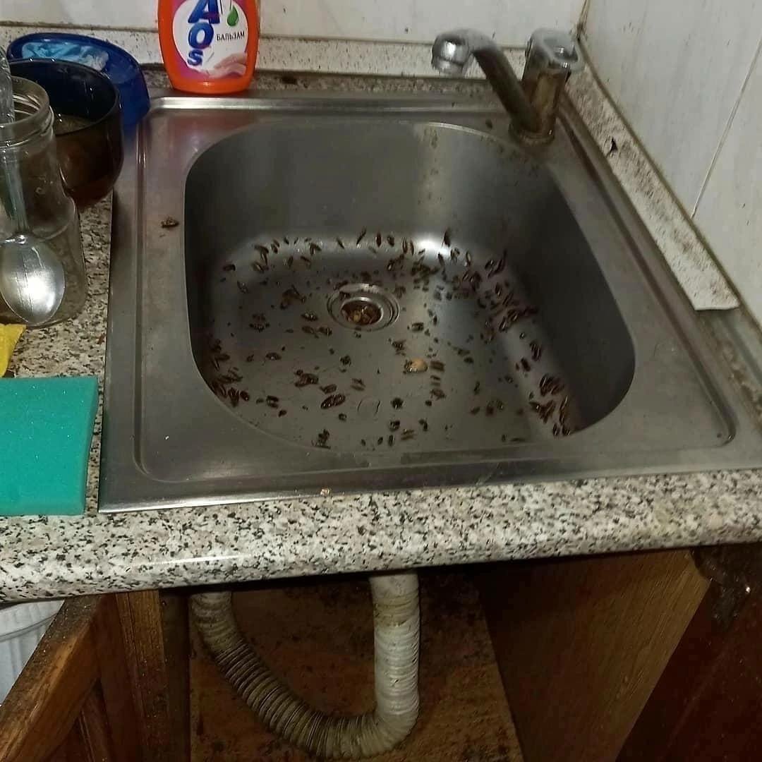 мойка раковина, уничтожение тараканов, дезинсекция, дезинфекции, мойка