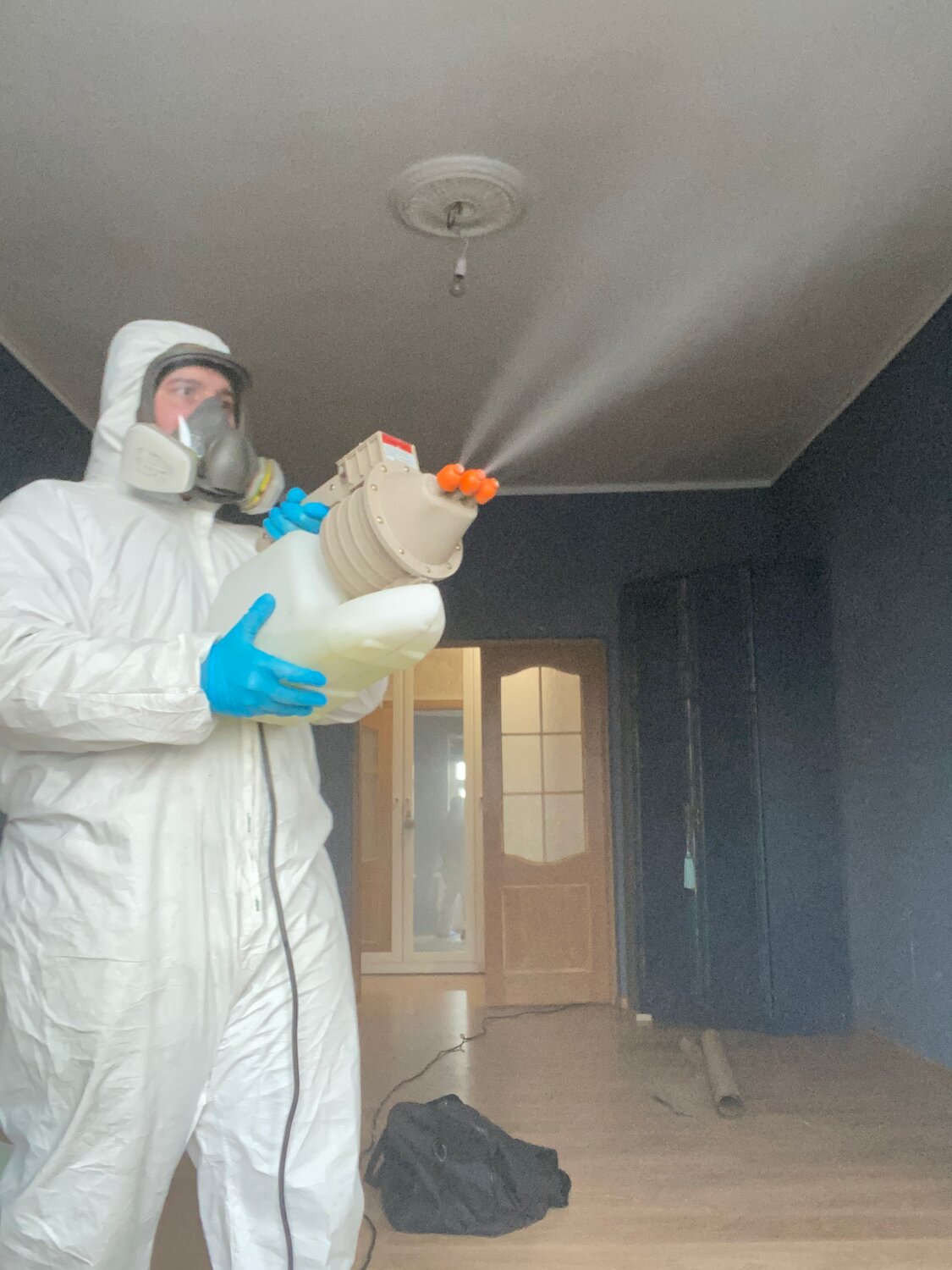 дезинфекция, дезинсекция, дезинфекция дезинсекция дератизация, дезинфекция и дезинсекция, дезинфекция помещений