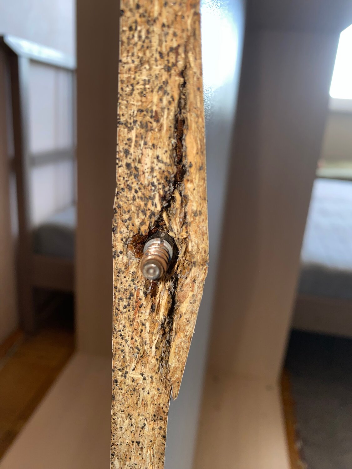 деревянные клопы, дсп, столешница дсп, разбухшая столешница, wood work