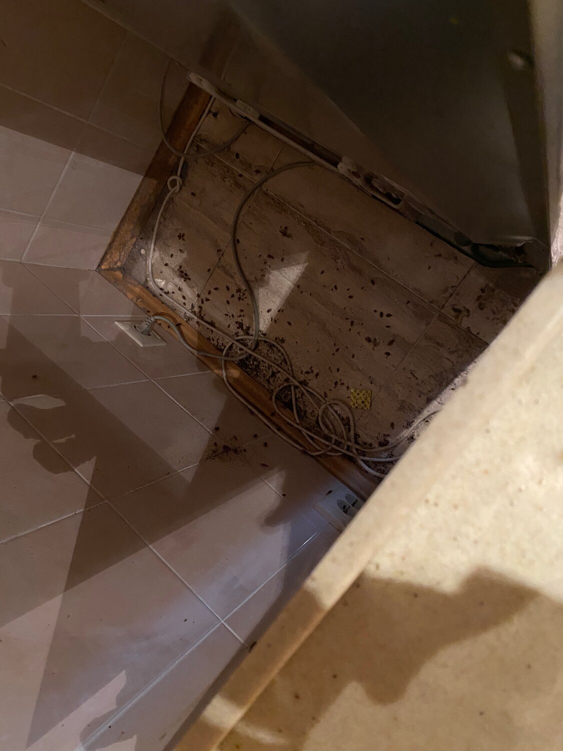 душевой поддон, демонтаж душевого поддона, плитка, душевой поддон из плитки, поддон из плитки