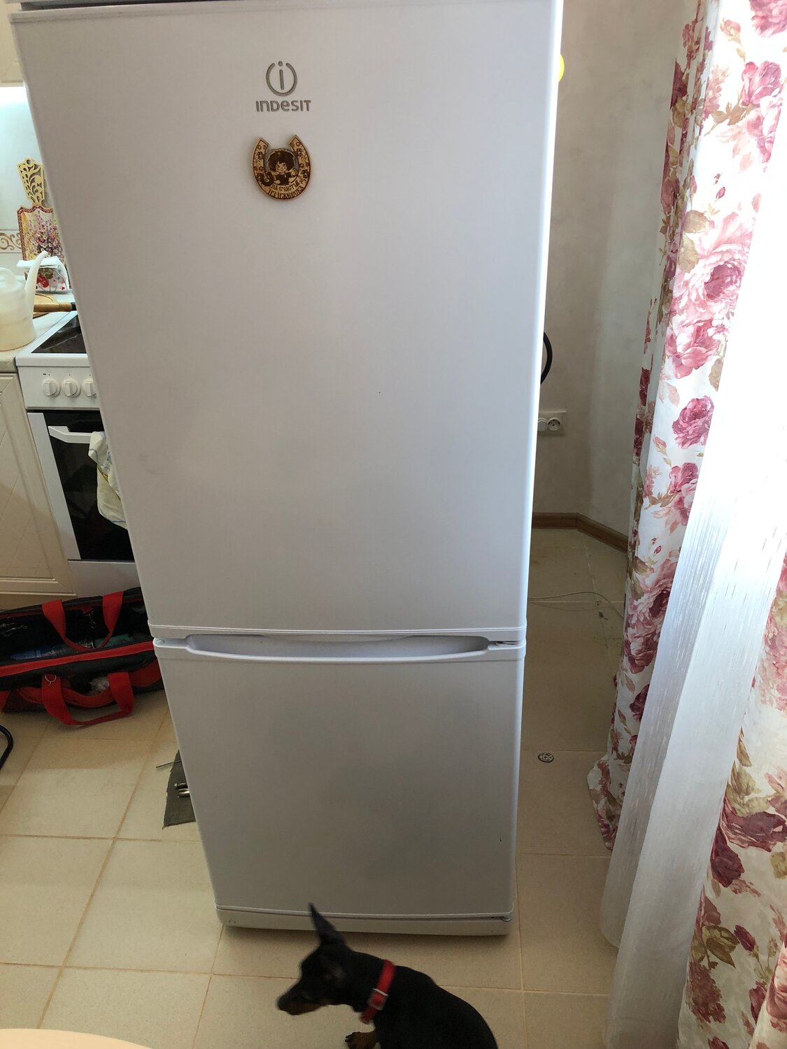 indesit холодильник, холодильник индезит, холодильник бу, холодильник, техника для кухни