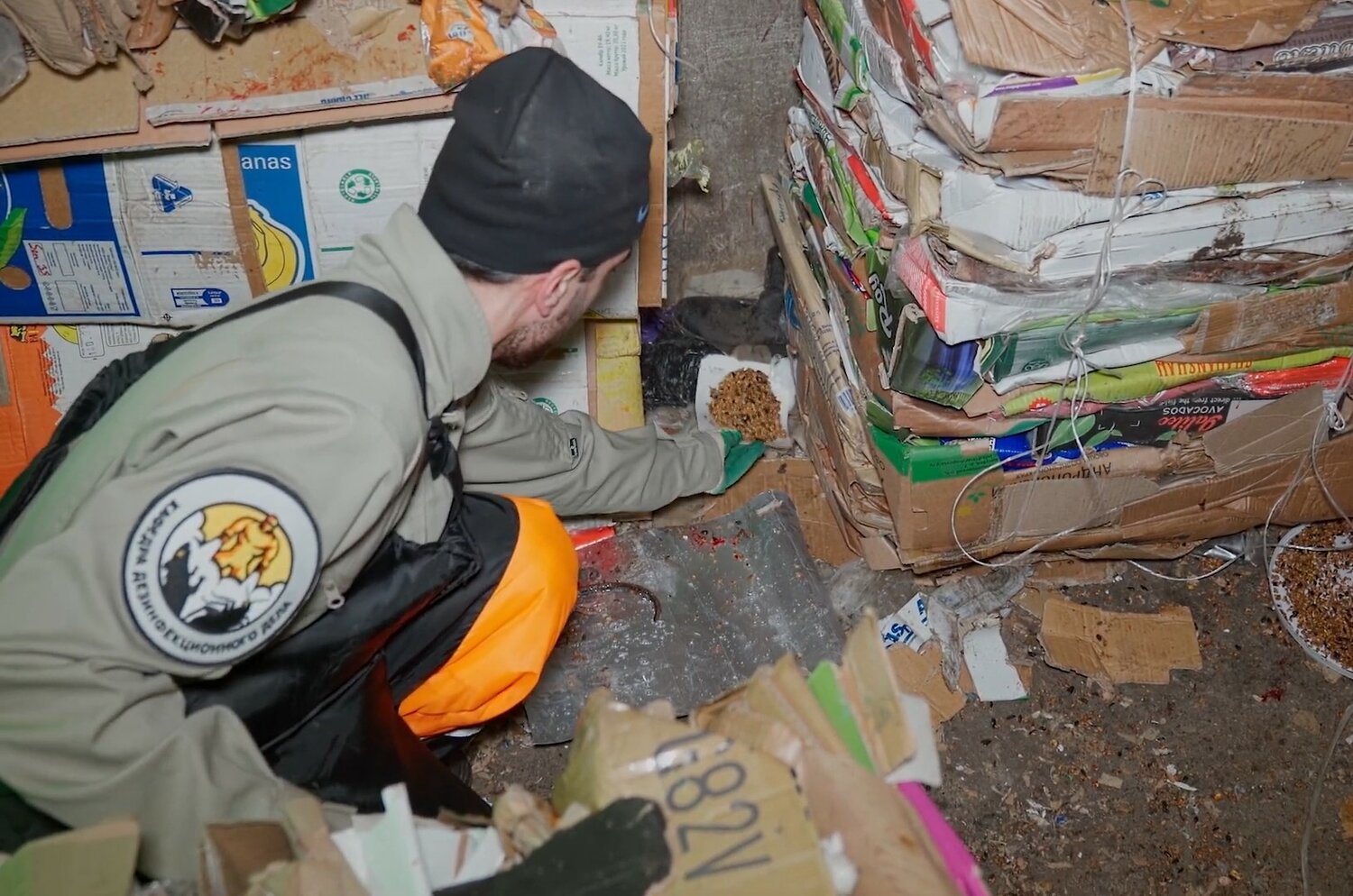 отходы, сбор мусора, макулатура, мусор, раздельный сбор мусора