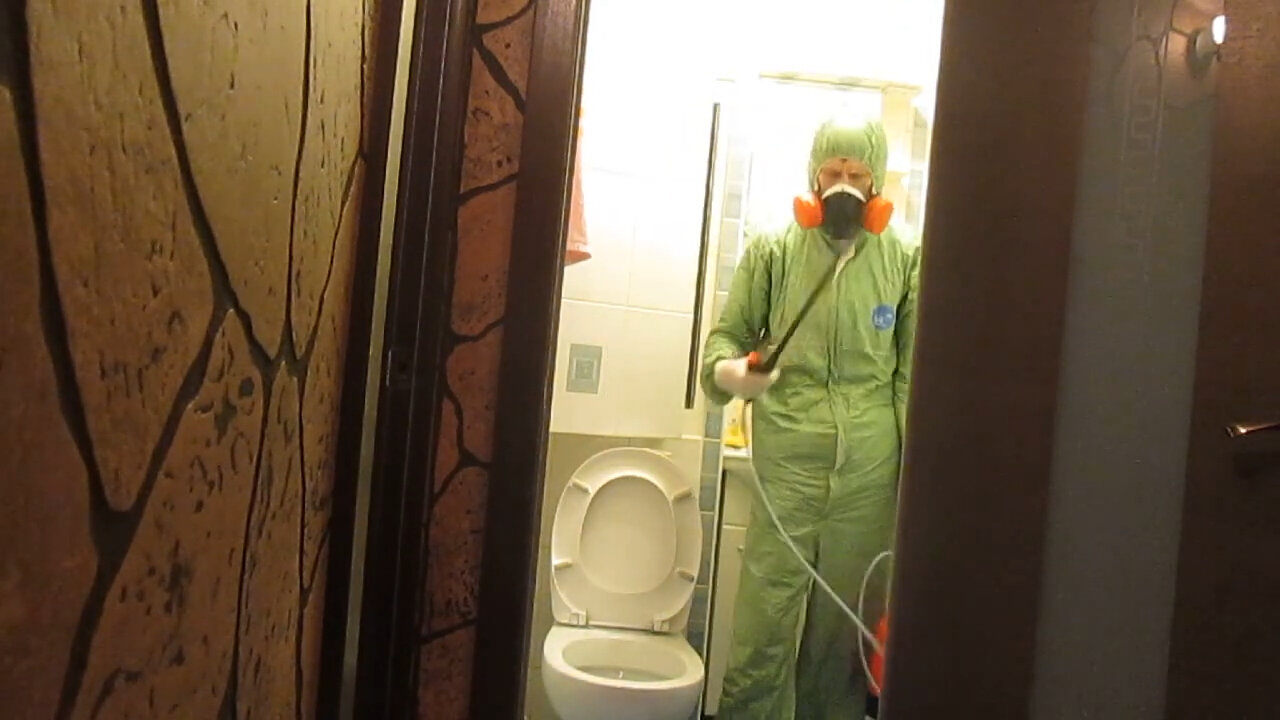 уничтожение тараканов в квартире, уничтожение тараканов, дезинфекция, уничтожение тараканов сочи, уничтожение тараканов симферополь