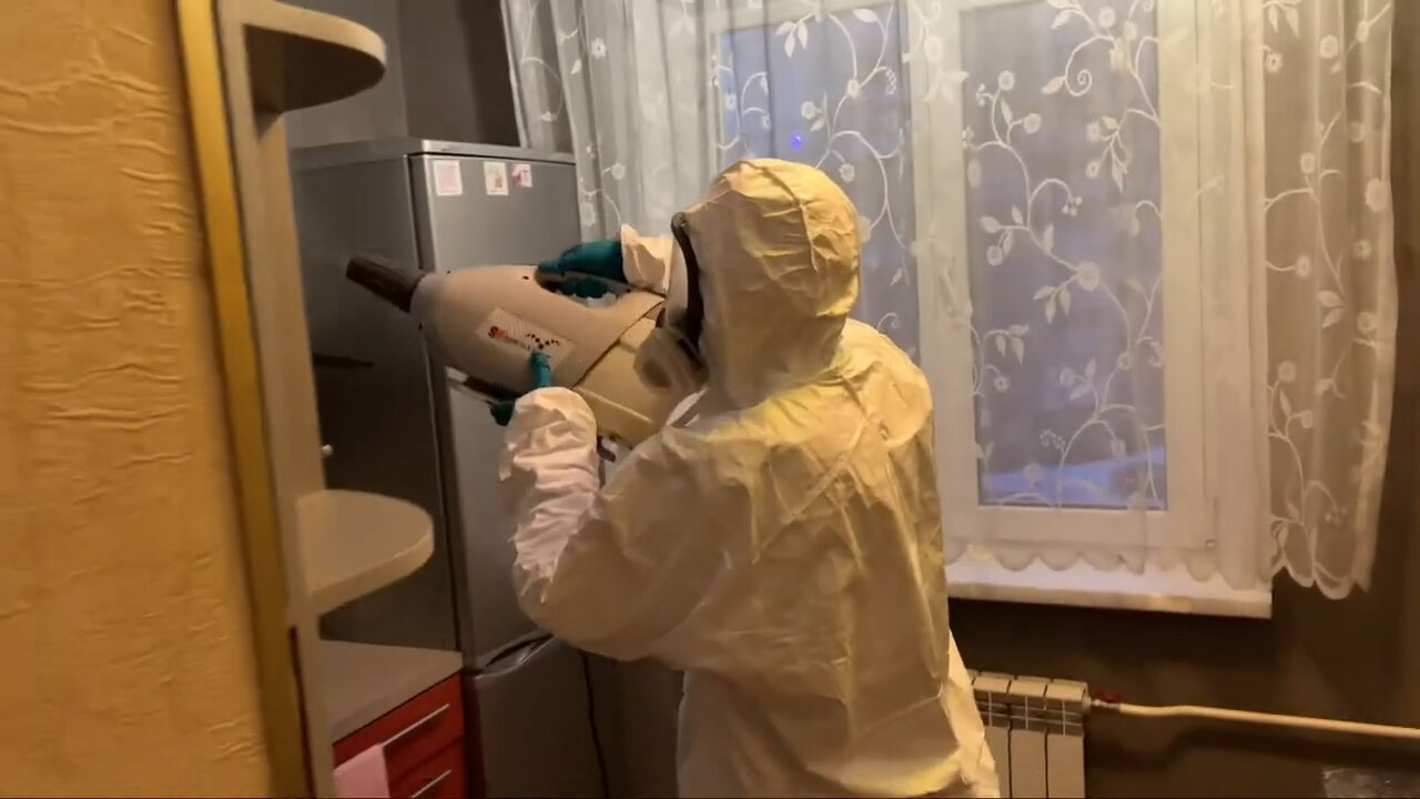 дезинсекция, дезинфекция от клопов, дезинфекция, уничтожение клопов, дезинфекция клопов