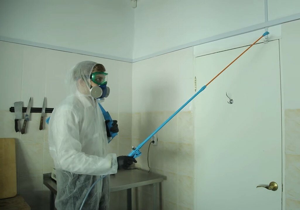 дезинфекция, дезинфекция дезинсекция дератизация, заключительная дезинфекция, дезинсекция, текущая дезинфекция