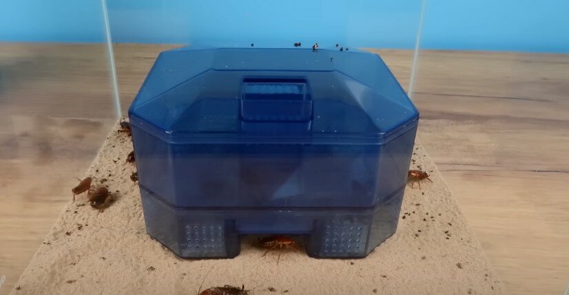 многоразовая ловушка для тараканов, ловушка для тараканов cockroach, пластмассовая ловушка для тараканов, пластиковые ловушки для тараканов, ловушка с коробкой