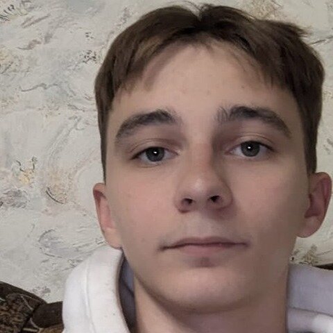 Денис Чесноков