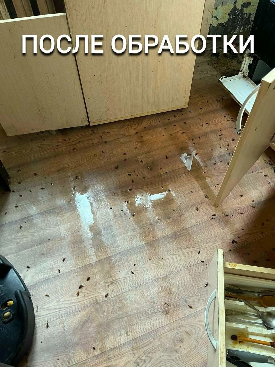 циклевка пола, грязный пол, в квартире, циклевка деревянного дощатого пола, деревянные полы
