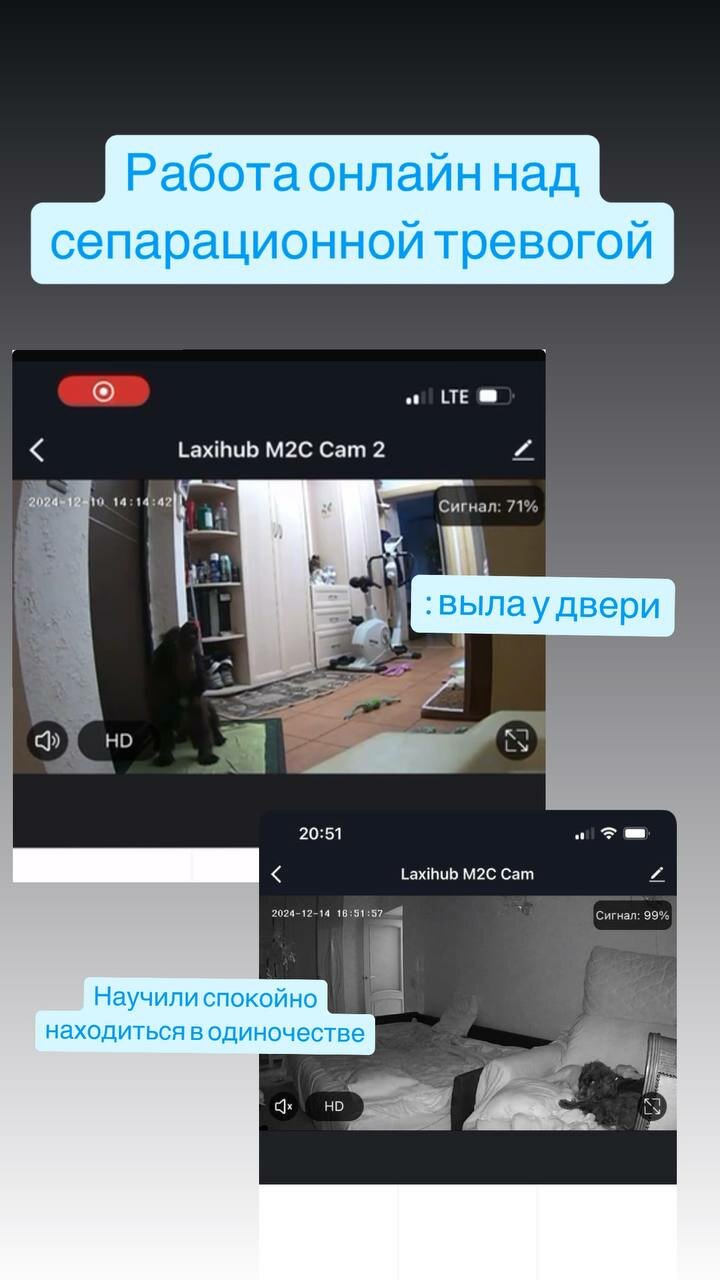 скриншот, приложение для, мобильное приложение, системы безопасности, приложения для android